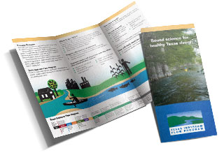 TIFP Brochure